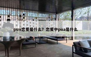 puv戀愛(ài)是什么？戀愛(ài)中pua是什么