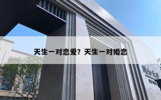 天生一對(duì)戀愛(ài)？天生一對(duì)婚戀