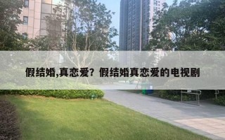 假結(jié)婚,真戀愛？假結(jié)婚真戀愛的電視劇