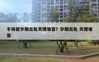 不將就孕期出軌天理難容？孕期出軌 天理難容